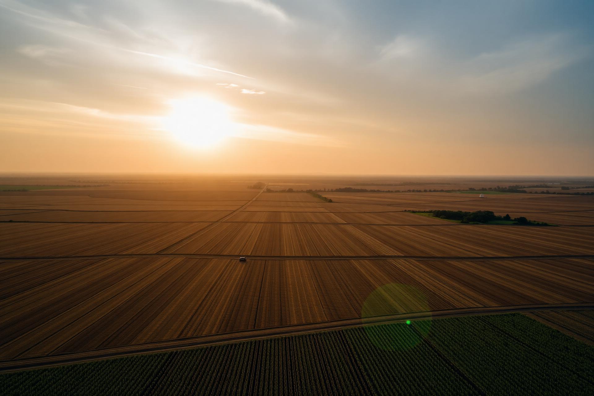 Plantação ao pôr do sol